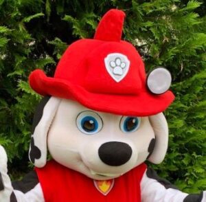 Rent Paw Patrol Characters